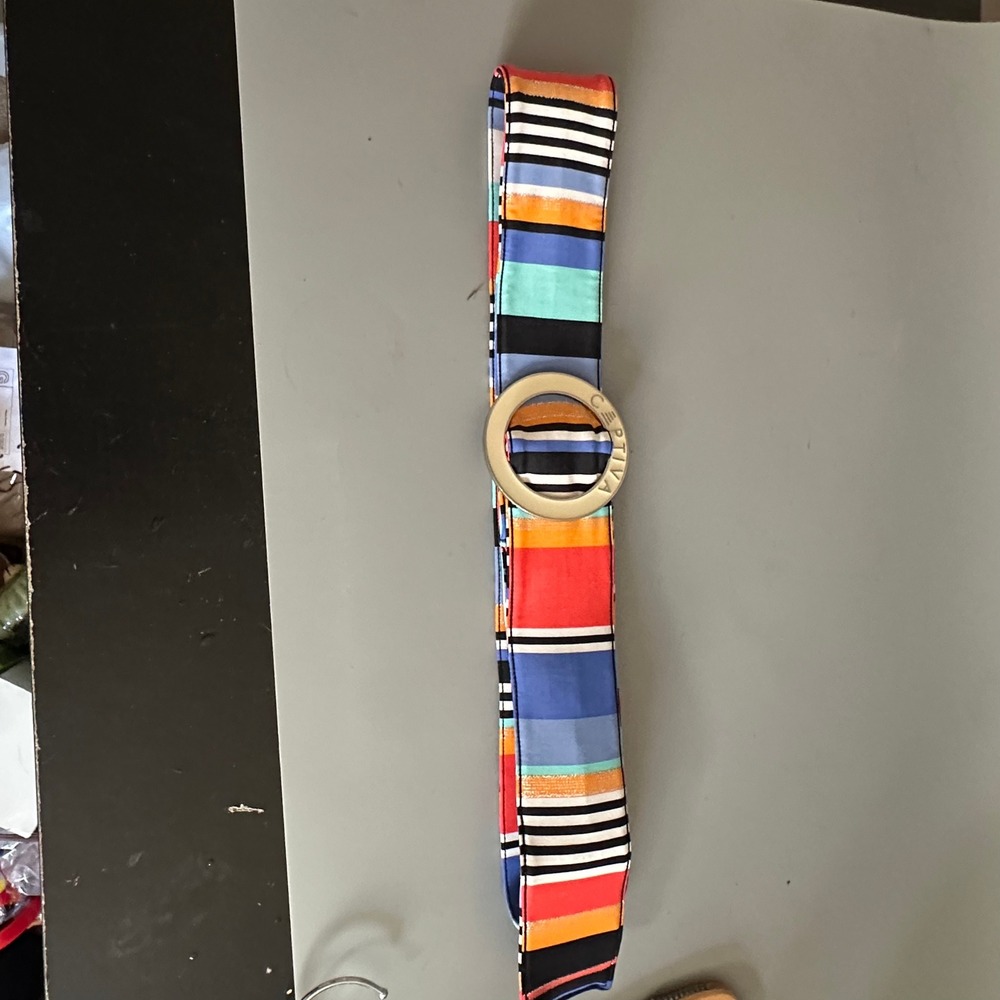 Captiva Multi Color Striped Fabric Sash Belt Silver Tone Round Buckle Adjustable